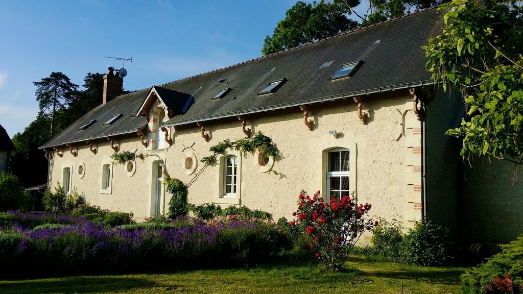 Chateau Vary Jarze Phòng bức ảnh